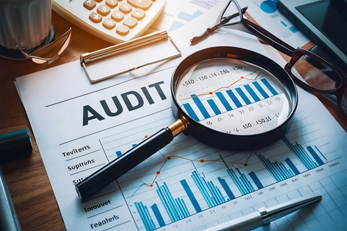 Statutory Audit Services in UAE
