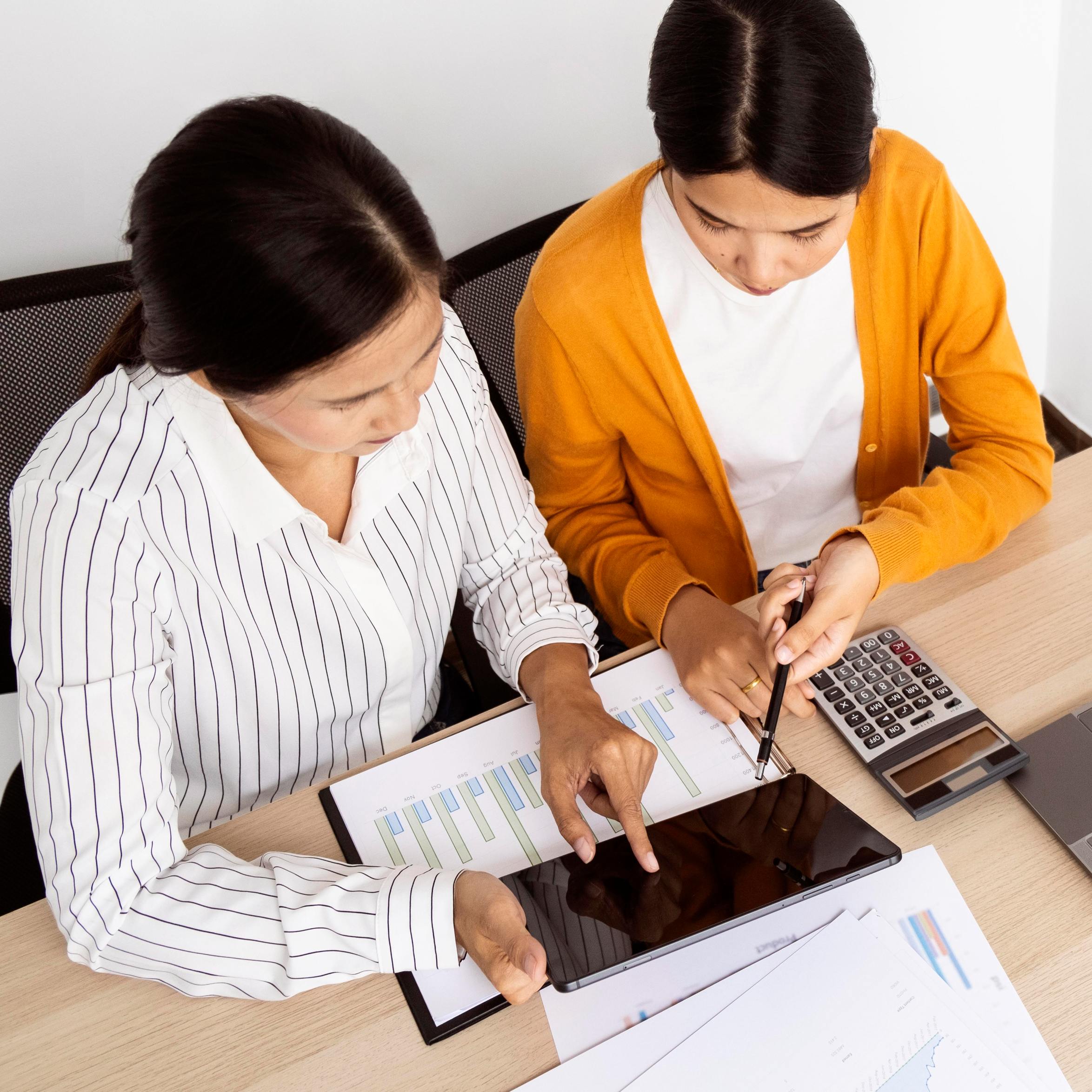 Transfer Pricing Policy Drafting and Review Services